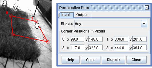 Perspective filter input